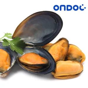 국내산 홍합살 1kg