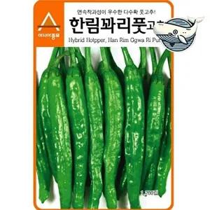 고품질 한림 꽈리 풋고추 종자 신선한 다채로운 고추씨앗 고추 종자 종묘 모종 WFGZMLH
