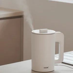 HAAN 자동습도조절 간편통세척 SUS316스텐레스 저소음 초음파가습기 3L/사무실 가정용 아기가습기