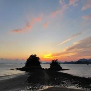 [당일/KTX] 2026 새해를 기원하며! 부안 솔섬 해넘이 여행