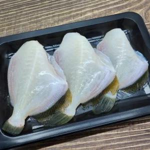 국내산 손질 쥐치 횟감 회 300g내외