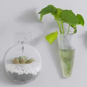 [셀러에이드]다육식물 벽걸이 화분 홈가드닝 행잉 플랜트 인테리어 소품