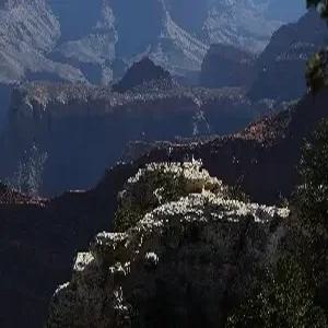 [출발임박][NBA 직관]미서부 3대 캐년 10일 #호스슈벤드 #라스베가스 중심가호텔 #4대도시 #4대국립공원