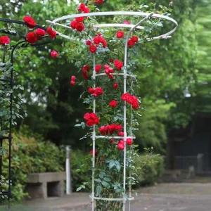 지주대 정원 지지대 쇠말뚝 식물 헨스 고추 퇴치 랙