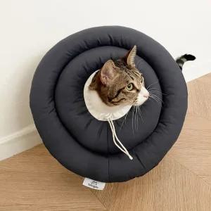 XL S 강아지깔대기 애견넥카라 반려견넥카라 강아지목튜브 강아지넥카라