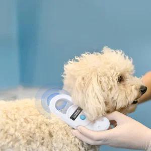 반려동물 마이크로칩 리더기 외장칩 동물병원 네임택 인식표