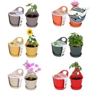 초보자 맞춤형 실내식물 재배 식물 기르기 인테리어화분 미니식물 화분장식 원형화분