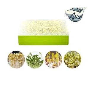 채소 재배기 실내 콩나물 새싹 재배기 새싹재배기 수경재배기 채소재배기 새싹씨앗