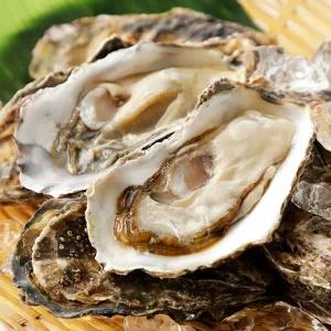 국내산 하프쉘 반각굴 횟감 구이용 30미 2kg 내외