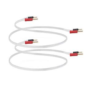 QED (큐이드) REFERENCE Silver Anniversary XT + 스크류 바나나 단자 세트