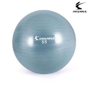 [XBGIJK53]아이워너  짐볼 55cm 더스티블루 헬스