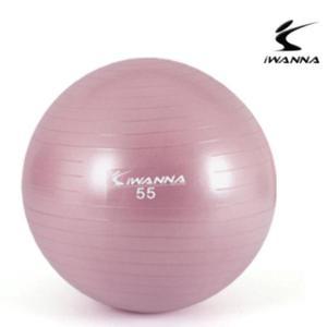 [XBH1I792]하프짐볼 다 이어트 짐볼 55cm 와일드핑크 굿