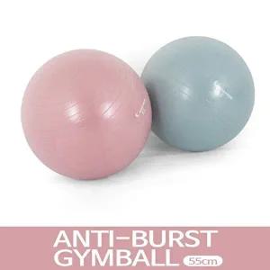 [베프몰]IW AQGNBMEP 홈트 필라테스 안티버스트 파스텔 색상 짐볼 55cm