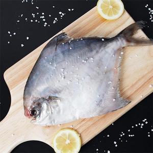 남도삼대농수산 국내산 병어(횟감용)5~7미(550~600g네외)