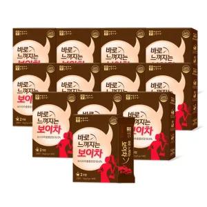 바로 느껴지는 보이차 12박스