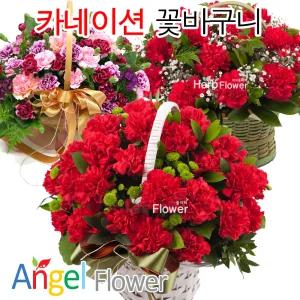 [전국당일꽃배달]풍성한 카네이션 꽃바구니/생화/감사/사랑/존경/싱싱한생화사용