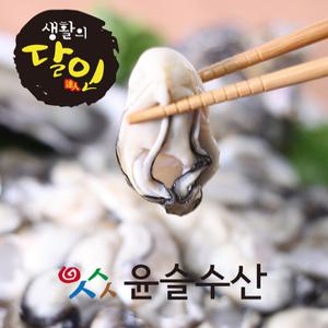 슬기로운 구매생활  통영생굴 1kg