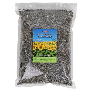 PetsOK 알찬 중소형 해바라기씨 1.2kg 앵무새 햄스터 다람쥐 소동물용