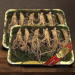 갤러리아 [풍기인삼] 5년근 수삼 1채 750g (5-7뿌리 등바구니) x 2박스