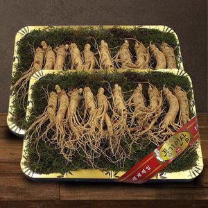 갤러리아 [풍기인삼] 5년근 수삼 1채 750g (8-10뿌리 등바구니) x 2박스