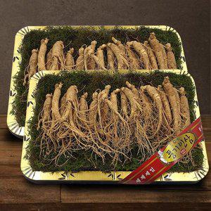 갤러리아 [풍기인삼] 5년근 수삼 1채 750g (20-25뿌리 등바구니) x 2박스