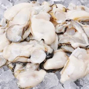 탱글탱글 향이 좋은 고흥산 생굴 1kg (중)