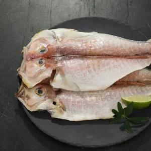 [산지직송] 실속 제주 옥돔 8마리