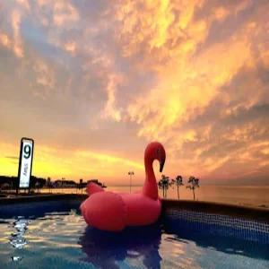 [강원 펜션] 양양 나인스테이(nine)펜션 (양양(서피비치,낙산))