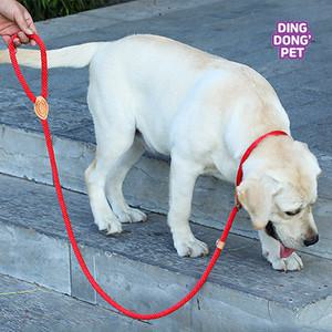 딩동펫 반려동물 P로프 목줄 리드줄