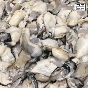 통영 생굴 제철 햇 횟감용 굴 2kg 통영굴