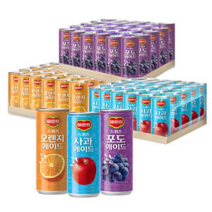 롯데 델몬트 스퀴즈 에이드 240ml(30캔+30캔)(총60캔) #포도 #오렌지 #사과 3종중택일