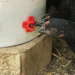 닭 조류 물통 꼭지 급수 니플 물주기 구멍 부속 1P