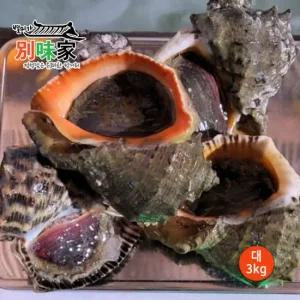 [별미가] 하얀돌 해녀가 직접 채취한 자연산 통영 참소라 대 3kg 18-21미)