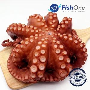 국내산 자숙 통문어 한마리 1.2kg