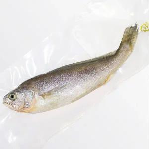 참조기 제수용참조기 25cm∼ 반건조 크기별