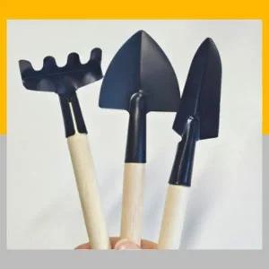 미니세트 다육이 모종 3종 삽