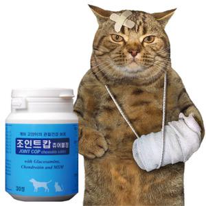 조인트캅 츄어블정 고양이 글루코사민 콘드로이친 관절영양제 30정 반려묘 고관절 슬개골
