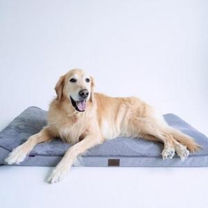 대형견 꿀잠 휴식용 방석겸 침대 XL Z124988A 침대추천