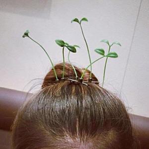 새싹헤어핀 새싹핀 식물머리핀 10개입