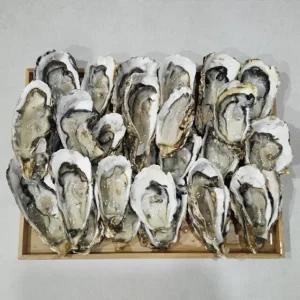 국내산 손질 하프쉘 하프셀 반각굴 2단 50-60미 내외