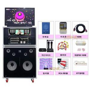 금영 태진 B2가정용 업소용 무선 마이크세트 세트