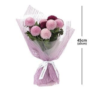 제이스플라워랩 퐁퐁 국화 꽃다발 꽃다발 코스트코 잡화마켓