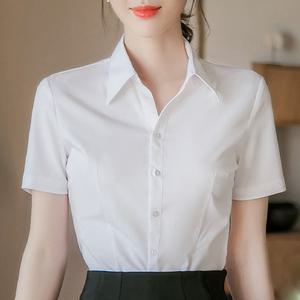 로로비 슬림핏 여성 반팔 셔츠 캐주얼 여름 정장 카라 블라우스 화이트 블랙 블루 핑크