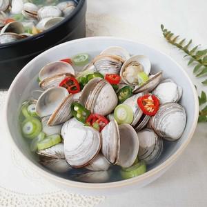 국내산 동죽 조개 2kg 160미 내외