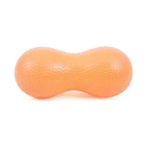 짐볼 코랄 맛사지 헬스장 에어 임산부-WFHJS69