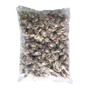 냉동 새조개살 1kg 손질 순살 자숙 조개살 샤브샤브 짬뽕