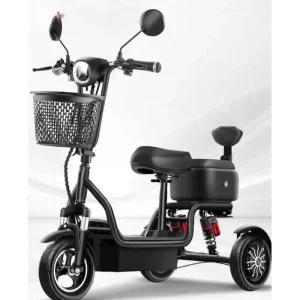 삼륜 전기자전거 바이크 출퇴근 배터리 여성 초보자