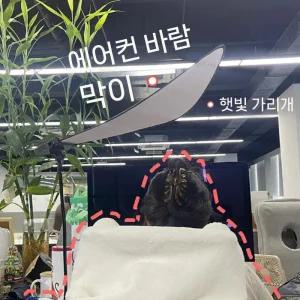 나뭇잎 캐노피 사무실 가림막 에어컨바람 형광등가리개 천장