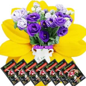 (49+1) 생화 절화 연장제 플로라라이프 유니버셜 사쉘 5ml x 50개