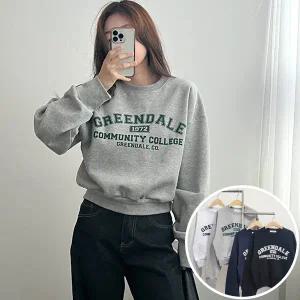 그린데일 기모 맨투맨 긴팔 BOX 여성 오버핏 티셔츠 (4컬러) 박시핏 빅사이즈